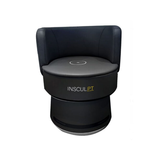 insculpt-chair insculpt chair